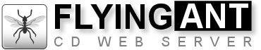 FlyingAnt Server