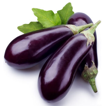 aubergine_-_eggplant.jpg