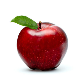 Apple on Apple Has Shiny Dark Red Or Striped Reddish Yellow Skin  The Apple
