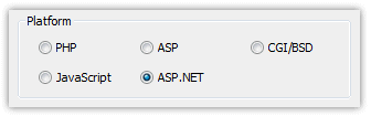 ASP.net selected